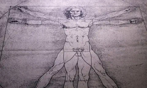 Anatomie Mensch - DaVinci ©janaka Dharmasena - stock.adobe.com